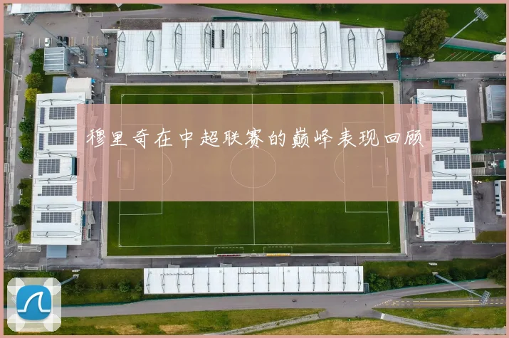 穆里奇在中超联赛的巅峰表现回顾